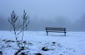 Park Bench